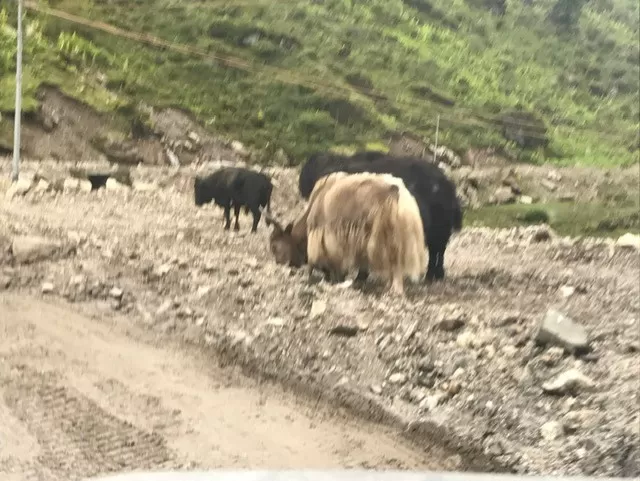 Photo of Bum La Pass by Anurag Sharma