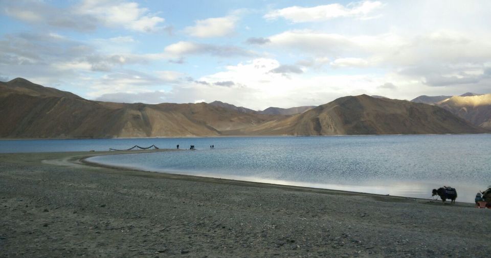 Photo of Nubra Valley by mriduluthra