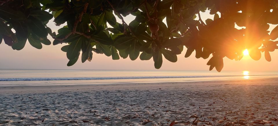 Photo of Havelock Island, Andaman and Nicobar Islands by Abhishek Sharma