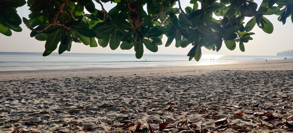 Photo of Havelock Island, Andaman and Nicobar Islands by Abhishek Sharma
