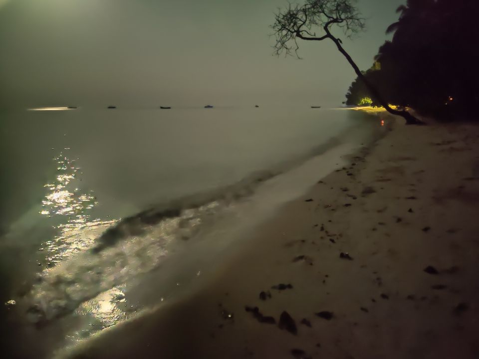 Photo of Havelock Island, Andaman and Nicobar Islands by Abhishek Sharma