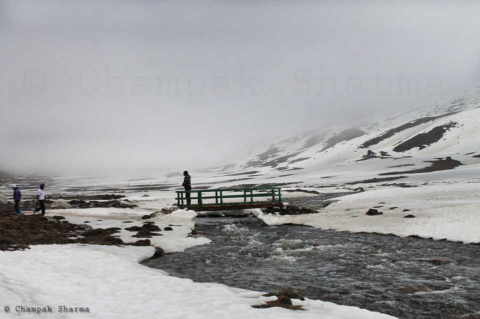 Photo of Road to Paradise: Exploring North Sikkim-Yumthang Valley & Zero Point by Champak Sharma