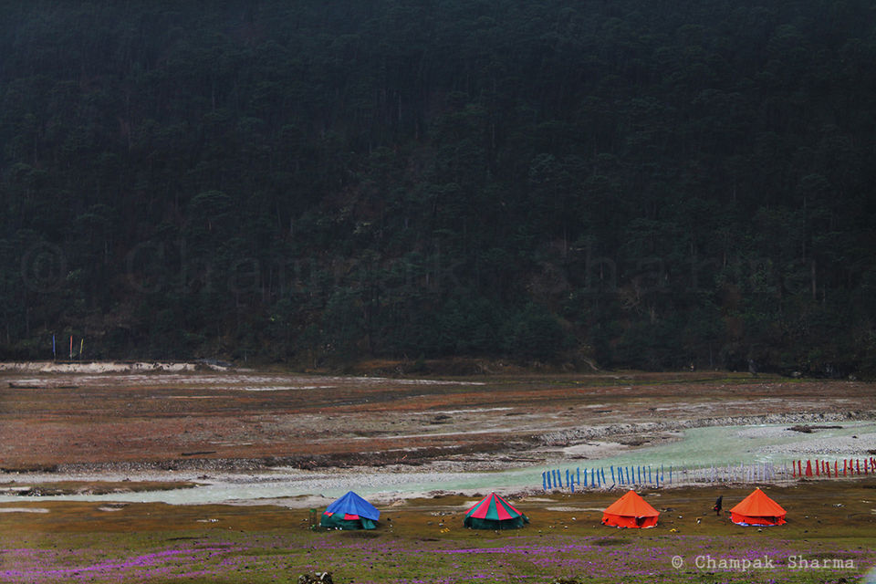 Photo of Road to Paradise: Exploring North Sikkim-Yumthang Valley & Zero Point by Champak Sharma