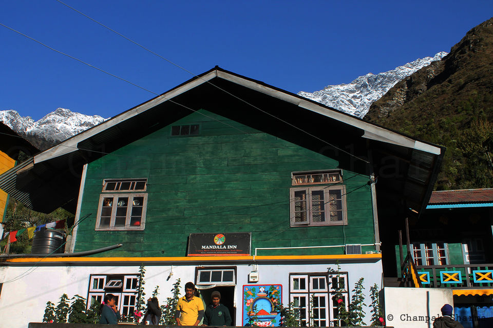 Photo of Road to Paradise: Exploring North Sikkim-Yumthang Valley & Zero Point by Champak Sharma