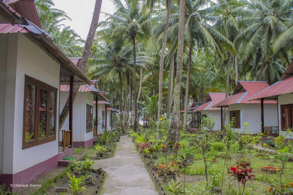 Photo of Andaman Escapade – Day 2, Breathing Underwater and Scooter Adventures in Havelock! by Champak Sharma
