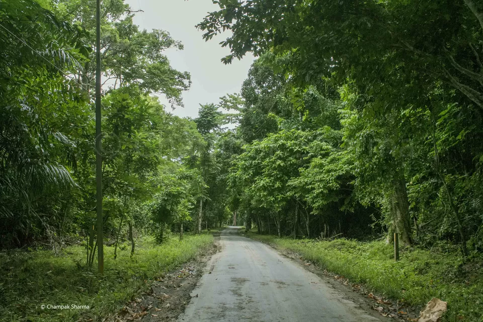 Photo of Kalapathar Beach, Andaman and Nicobar Islands, India by Champak Sharma