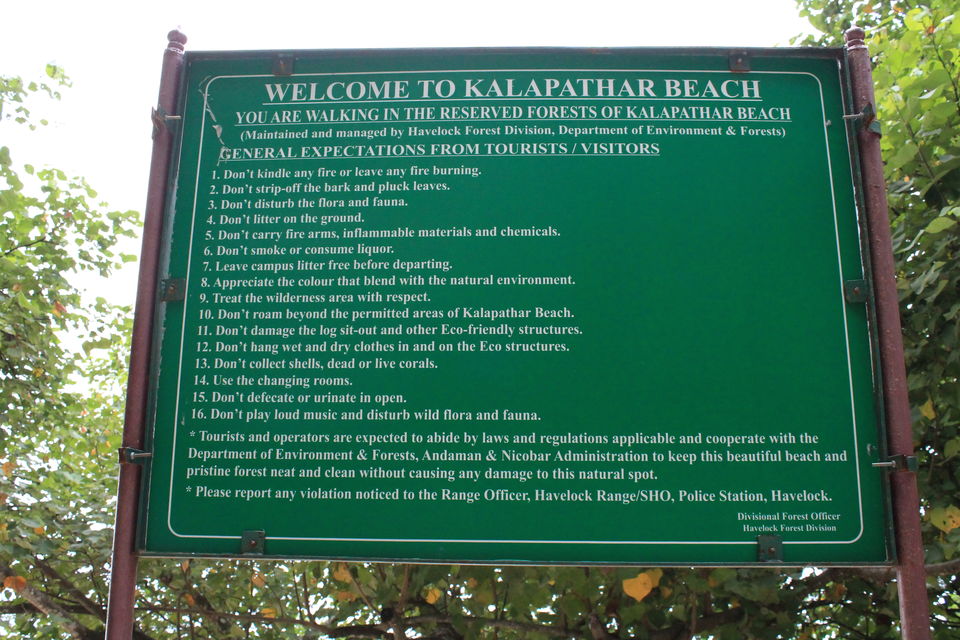Photo of Andaman Escapade – Day 2, Breathing Underwater and Scooter Adventures in Havelock! by Champak Sharma