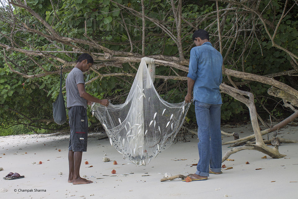 Photo of Andaman Escapade – Day 2, Breathing Underwater and Scooter Adventures in Havelock! by Champak Sharma