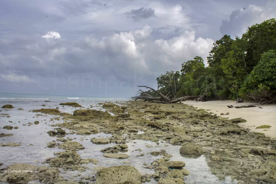 Photo of Kalapathar Beach, Andaman and Nicobar Islands, India by Champak Sharma
