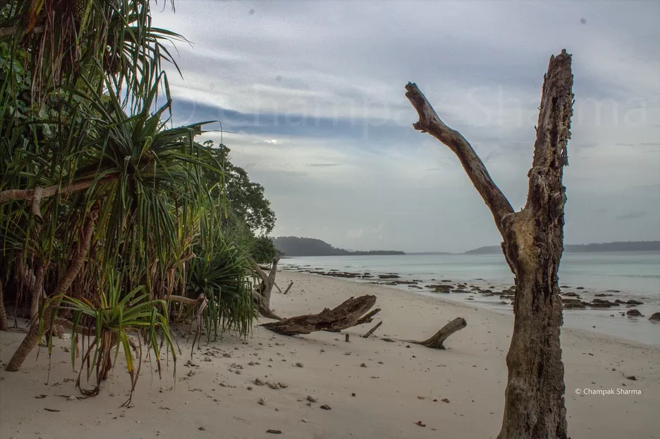 Photo of Kalapathar Beach, Andaman and Nicobar Islands, India by Champak Sharma