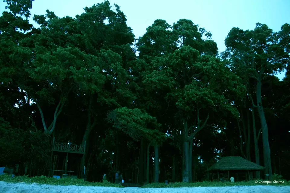 Photo of Radhanagar Beach, Andaman and Nicobar Islands by Champak Sharma