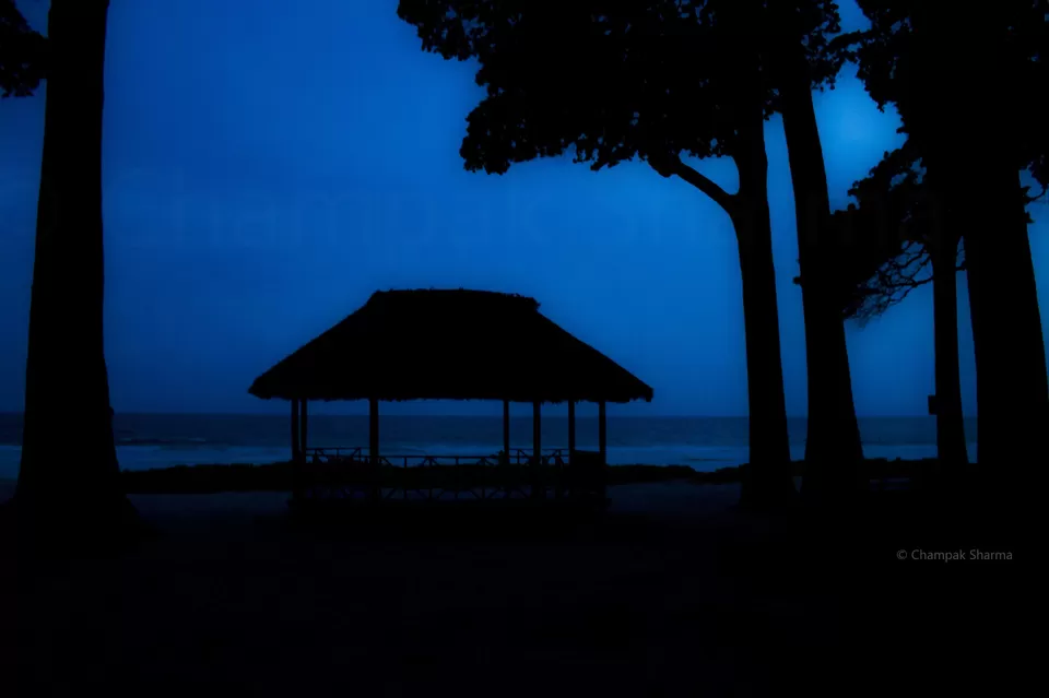 Photo of Radhanagar Beach, Andaman and Nicobar Islands by Champak Sharma