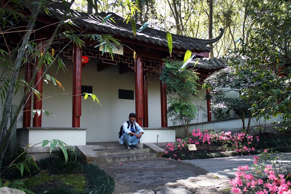 Photo of Hidden China Bustling Sydney by Champak Sharma