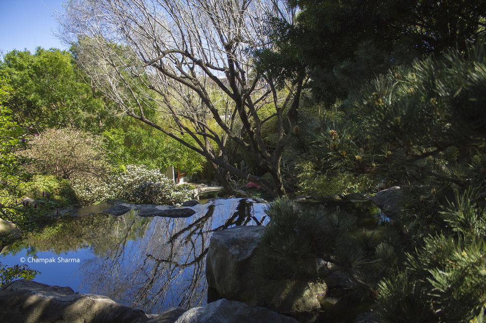 Photo of Hidden China Bustling Sydney by Champak Sharma