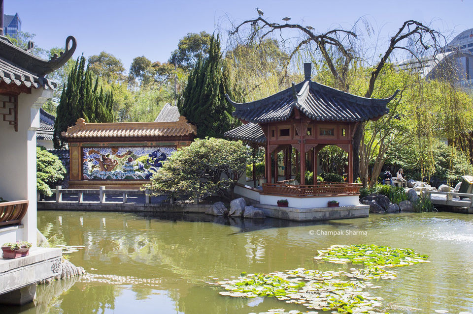 Photo of Hidden China Bustling Sydney by Champak Sharma