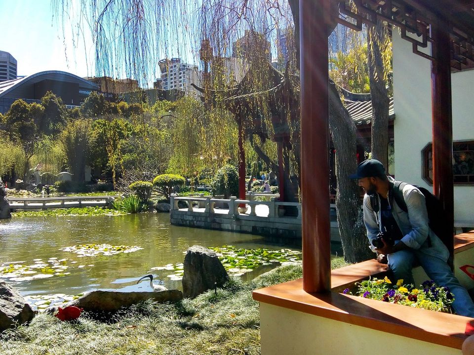 Photo of Hidden China Bustling Sydney by Champak Sharma