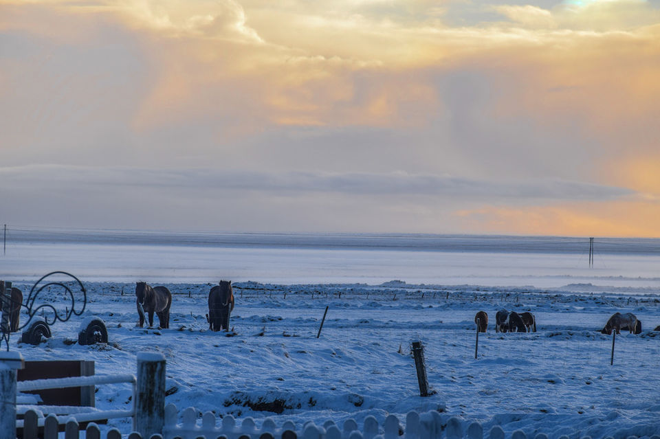 Photo of Driving around the land of fire and ice (part 1) by TheVeggieWanderers