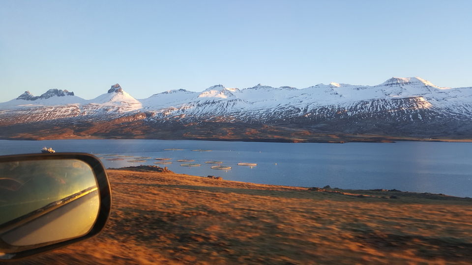 Photo of Djúpivogur, Iceland by TheVeggieWanderers