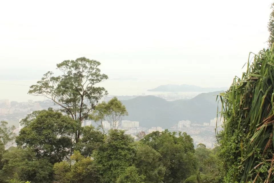 Photo of Penang Hill-The 10 minute train journey into the Malaysian rainforests. by TheVeggieWanderers