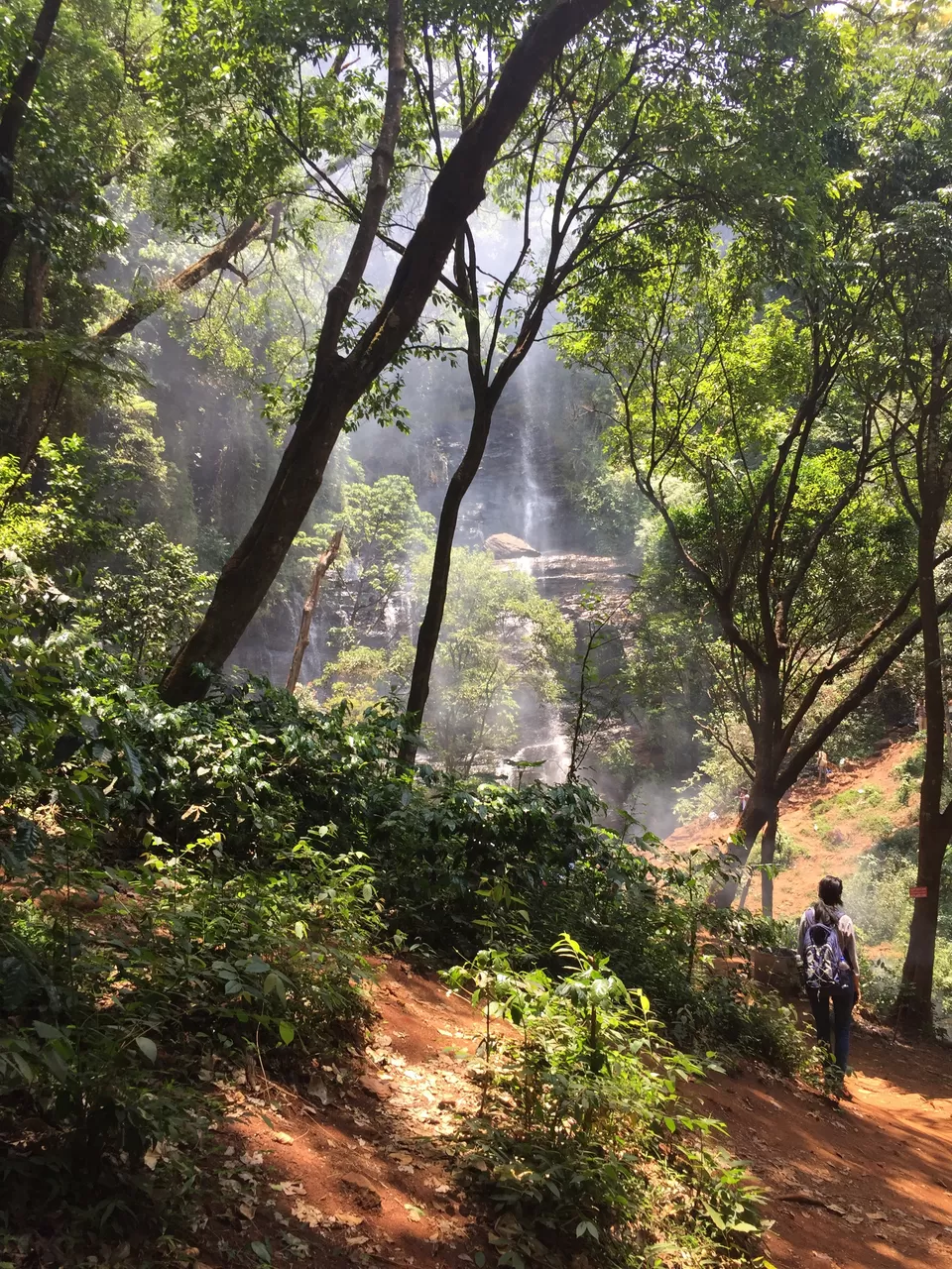 Photo of Jhari Waterfall, Thippanahalli Estate Road, Inam Dattathreya Peeta, Karnataka, India by Maitreyee