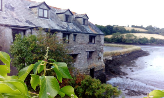 Photo of Forder, Saltash, UK by Maitreyee