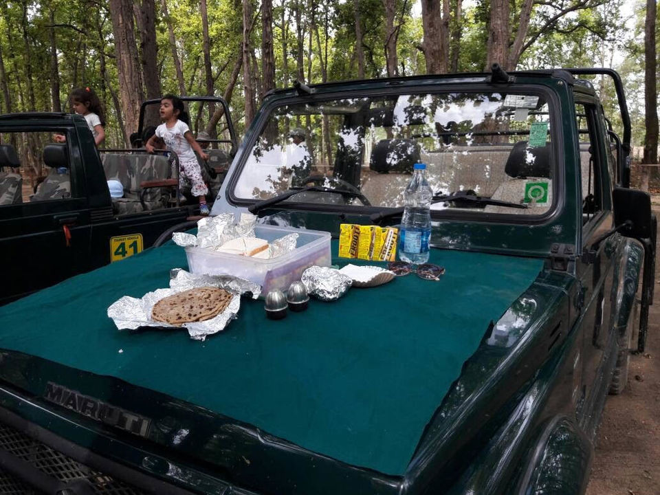 Photo of Into the woods - Kanha national park 6/8 by Maitreyee
