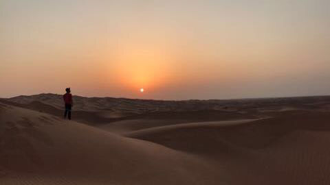 Photo of Desert Safari - 8 C Street - Dubai - United Arab Emirates by Aditya Chugh