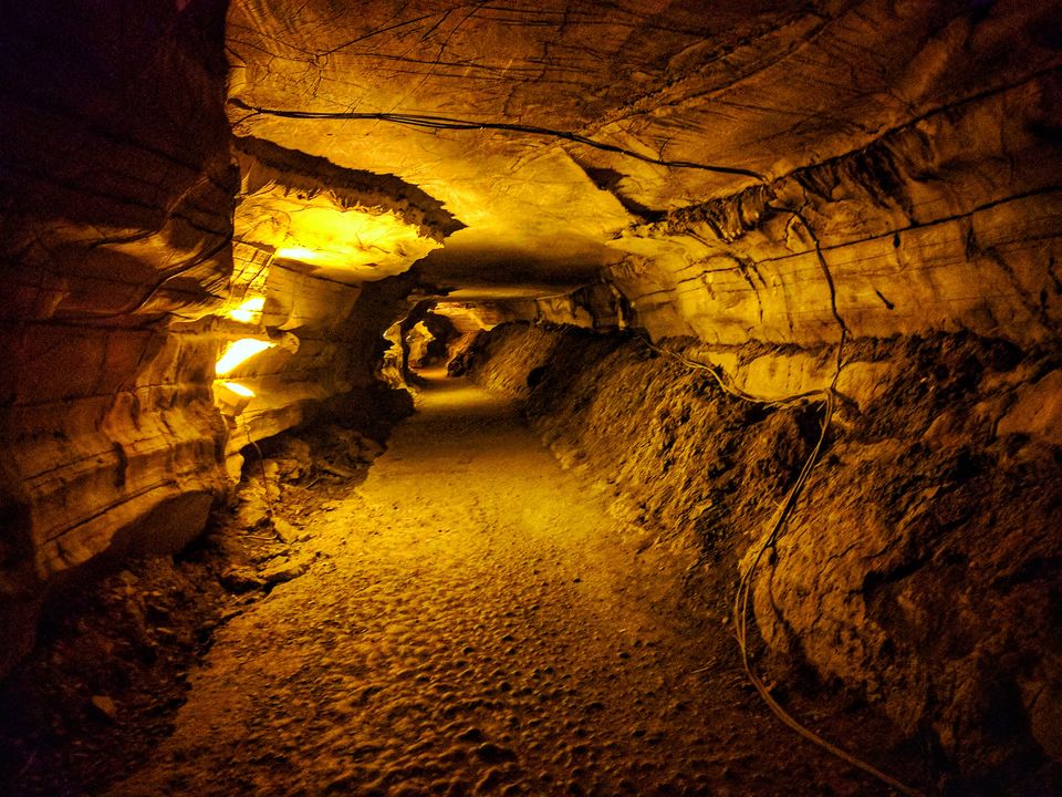 Photo of Belum Caves - Into the Abyss 2/8 by The Clueless Muni