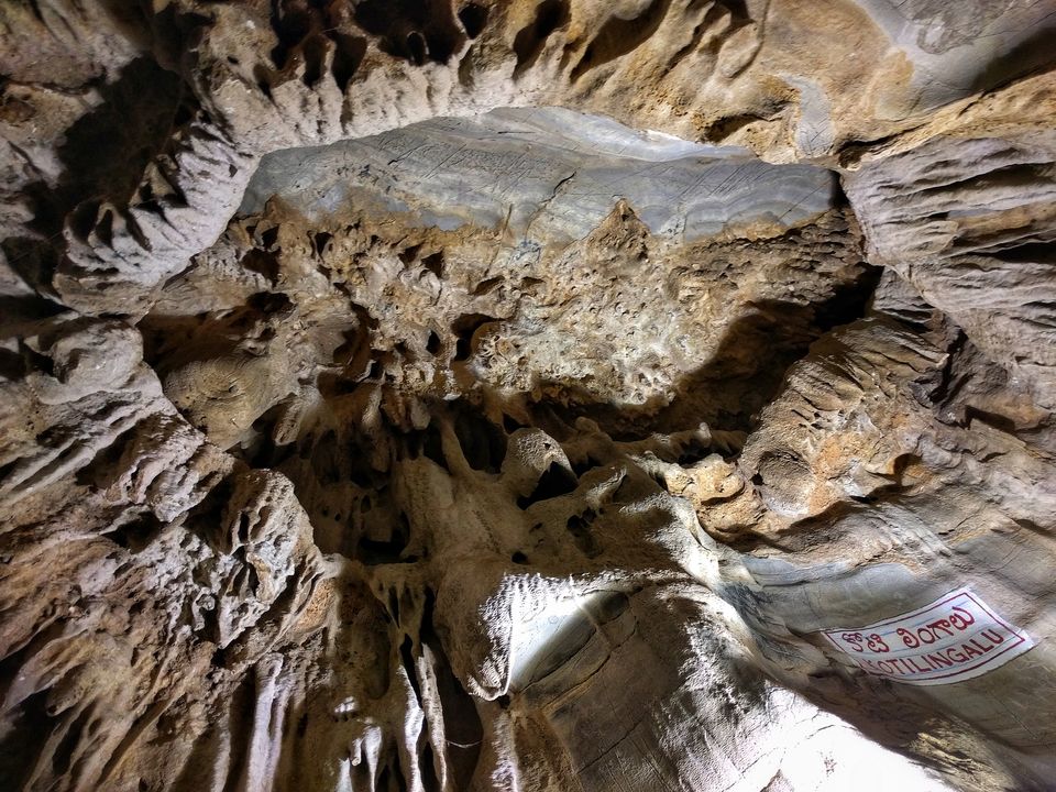 Photo of Belum Caves - Into the Abyss 4/8 by The Clueless Muni