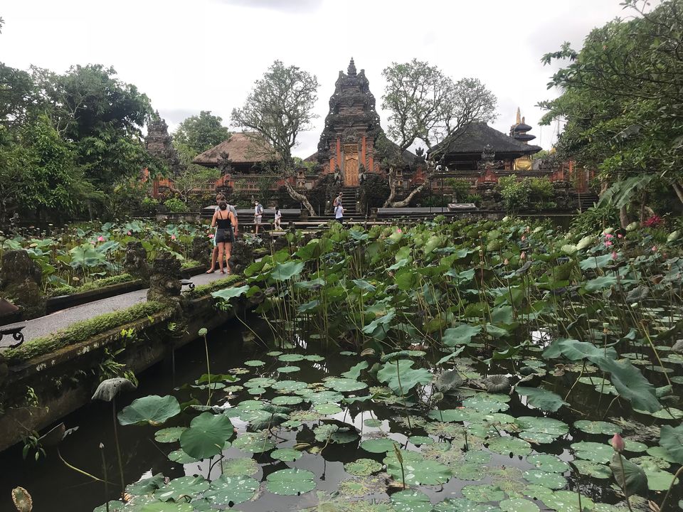 Photo of Beatific Bali 16/23 by shubhi gupta