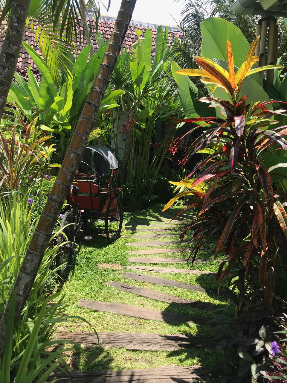 Photo of Beatific Bali 7/23 by shubhi gupta