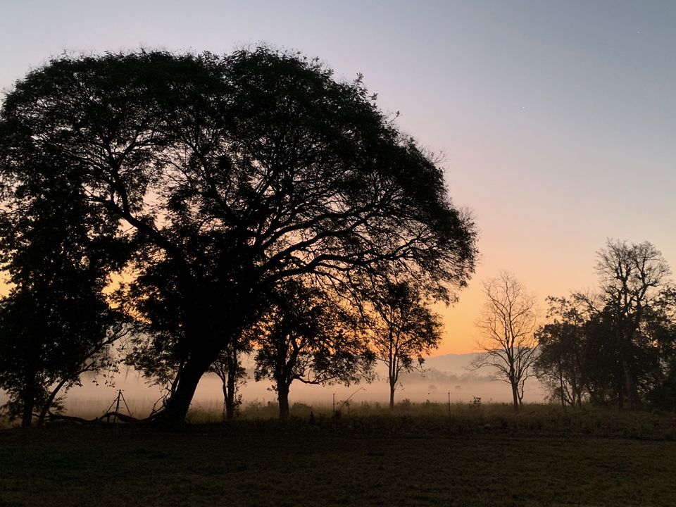 Photo of 24 hours into the wild 2/11 by shubhi gupta