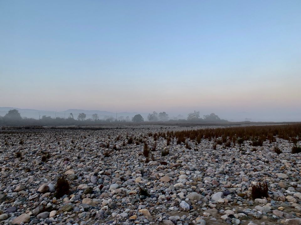 Photo of 24 hours into the wild 3/11 by shubhi gupta