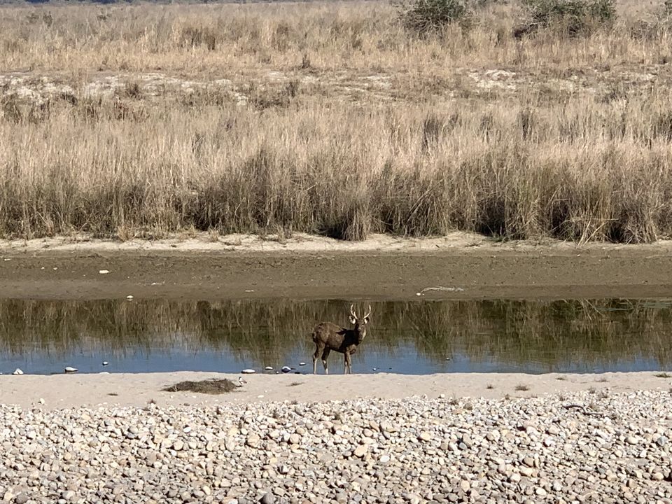 Photo of 24 hours into the wild 8/11 by shubhi gupta