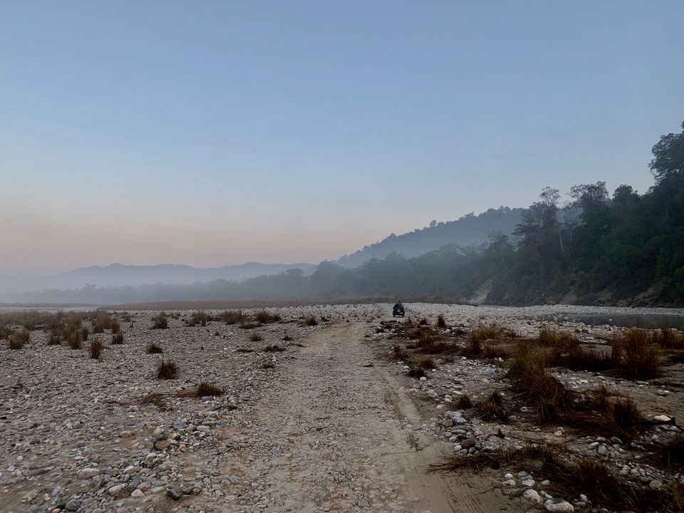 Photo of 24 hours into the wild 6/11 by shubhi gupta
