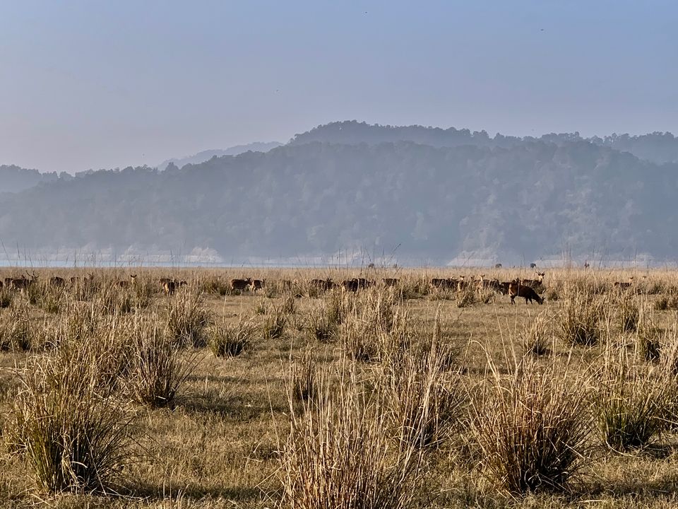 Photo of 24 hours into the wild 5/11 by shubhi gupta