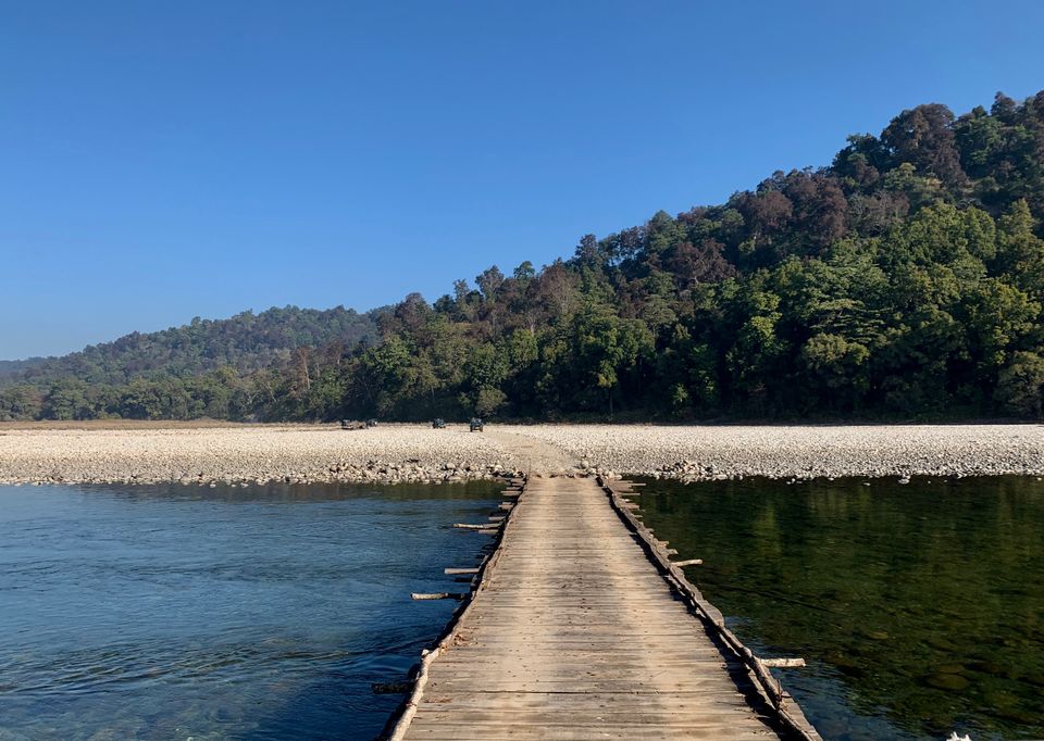 Photo of 24 hours into the wild by shubhi gupta