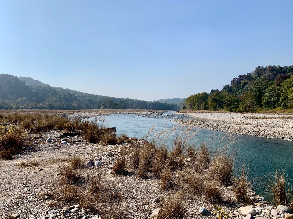 Photo of 24 hours into the wild 4/11 by shubhi gupta
