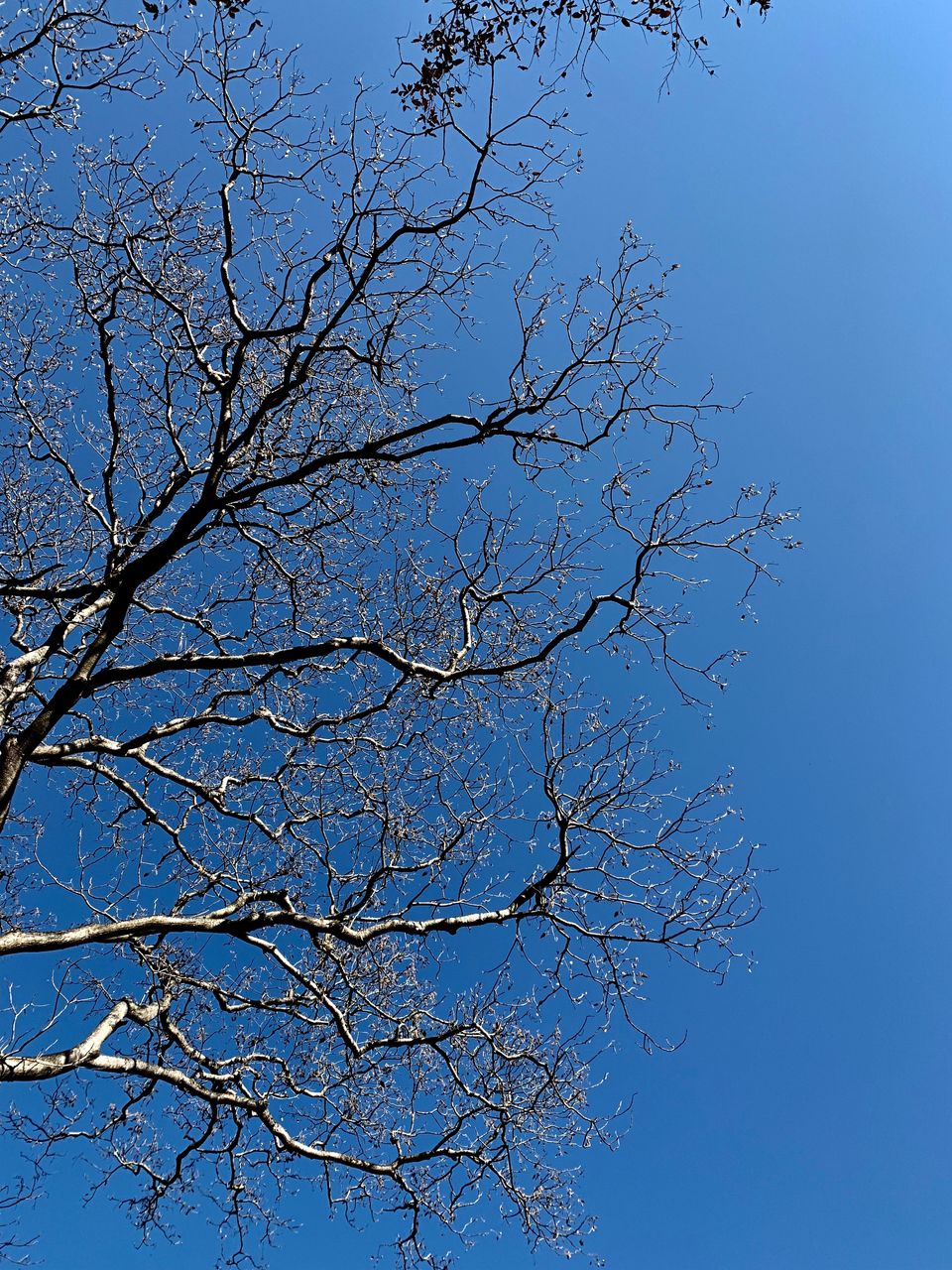 Photo of 24 hours into the wild 11/11 by shubhi gupta