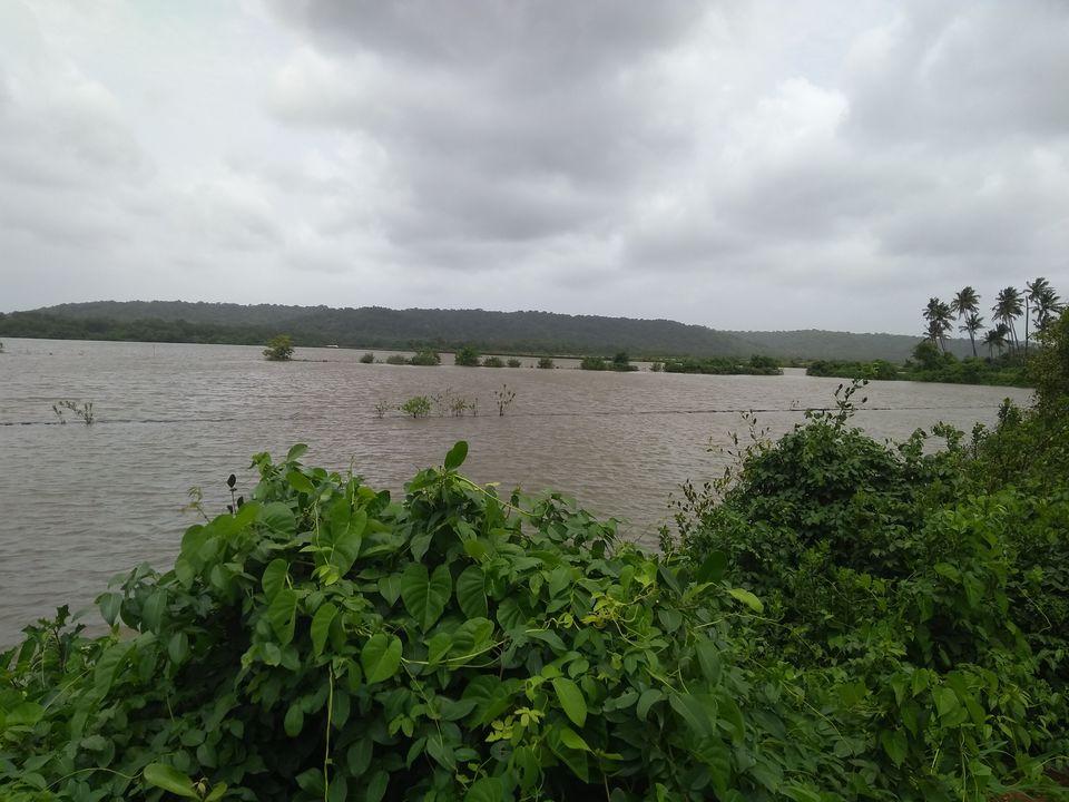 Photo of River Islands of Goa: Little known pieces of "Ungoan" Goa 4/10 by Harsh Sharma