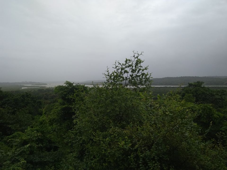 Photo of River Islands of Goa: Little known pieces of "Ungoan" Goa 6/10 by Harsh Sharma