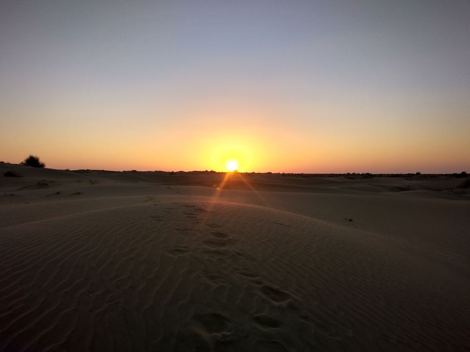 Photo of Desert Fox by Harsh Sharma