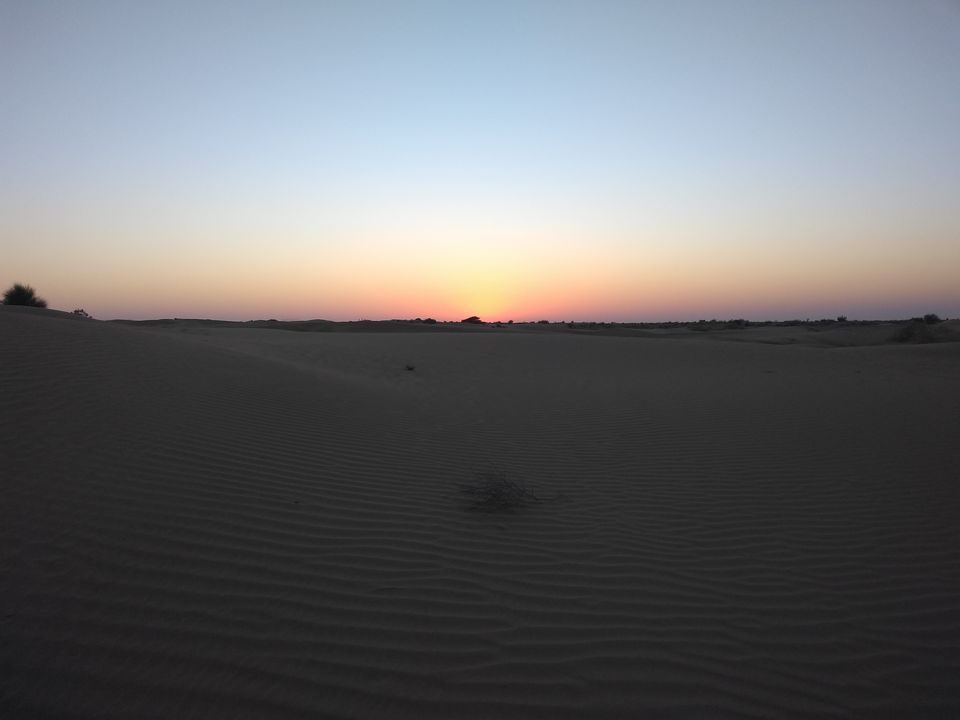 Photo of Desert Fox by Harsh Sharma
