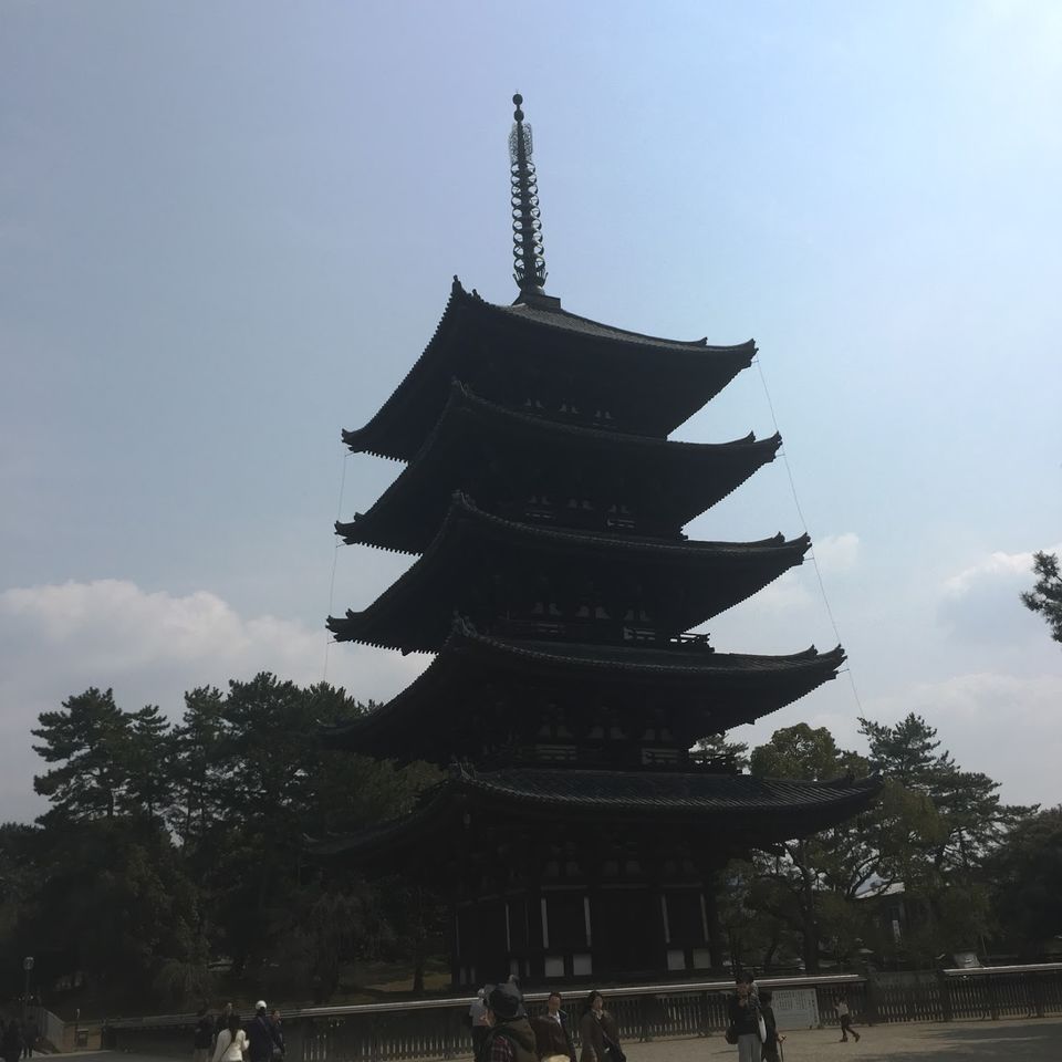 Photo of Nara, Japan by Mariya Nalawala