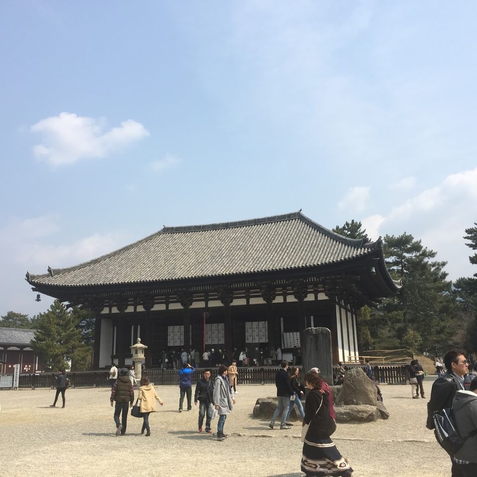 Photo of Nara, Japan by Mariya Nalawala