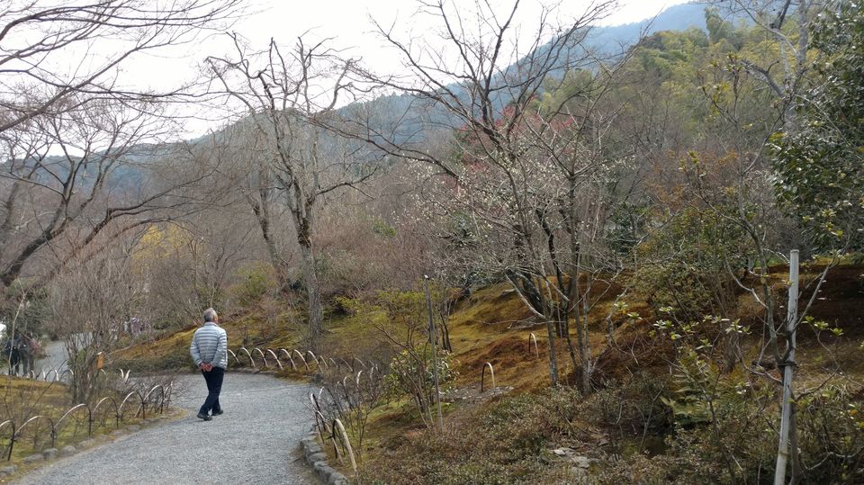 Photo of Japan Part 2 - Day trip from Kyoto by Mariya Nalawala
