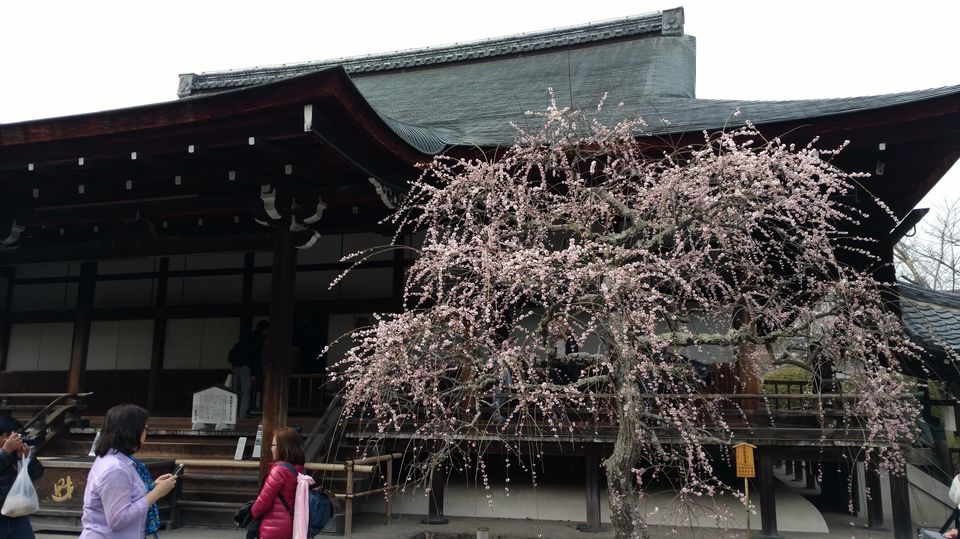 Photo of Japan Part 2 - Day trip from Kyoto by Mariya Nalawala