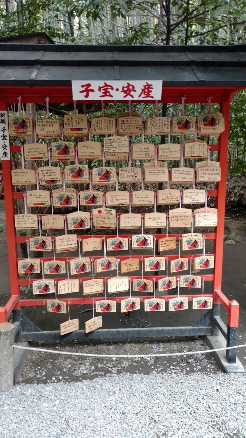 Photo of Japan Part 2 - Day trip from Kyoto by Mariya Nalawala