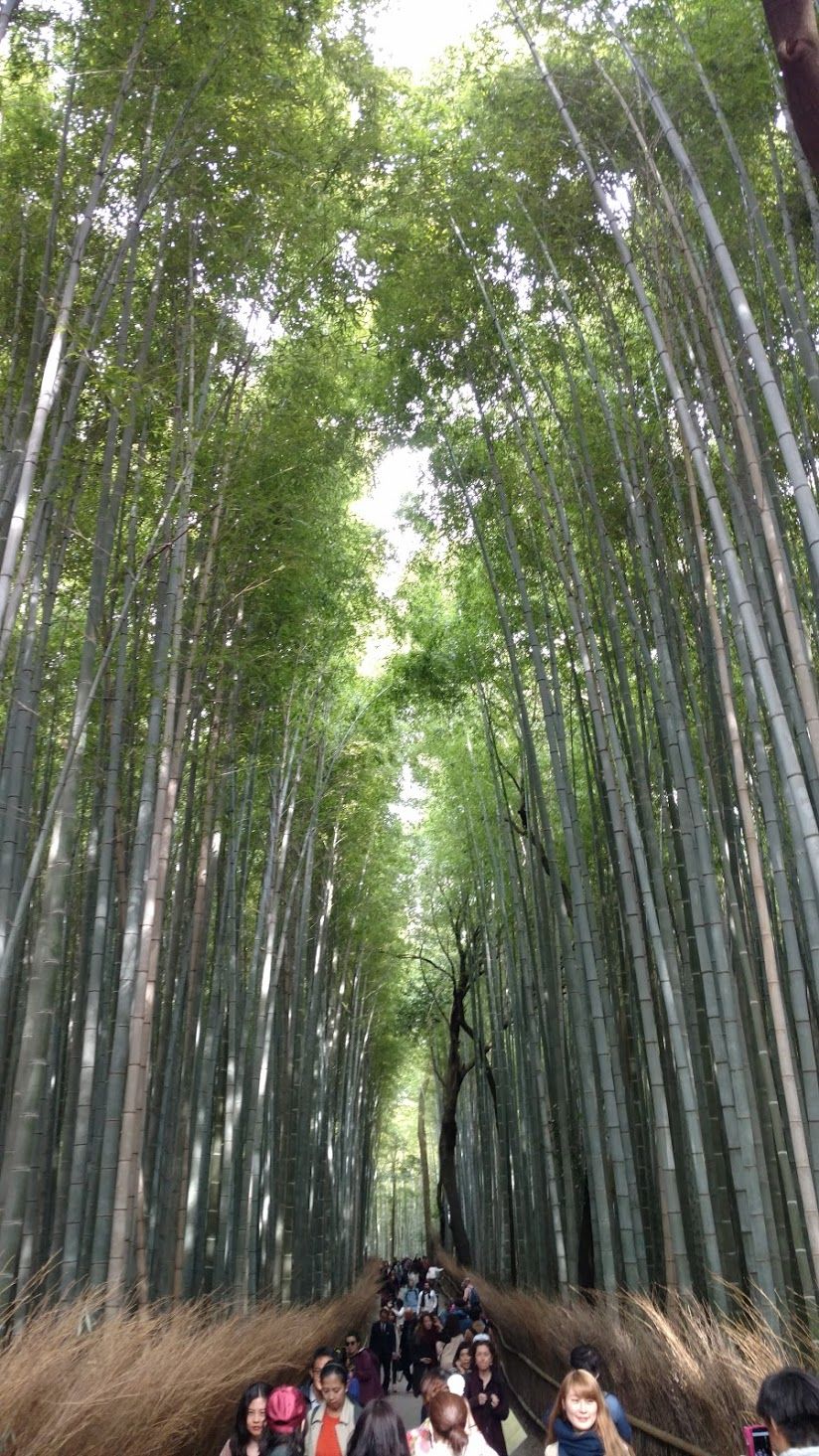 Photo of Japan Part 2 - Day trip from Kyoto by Mariya Nalawala