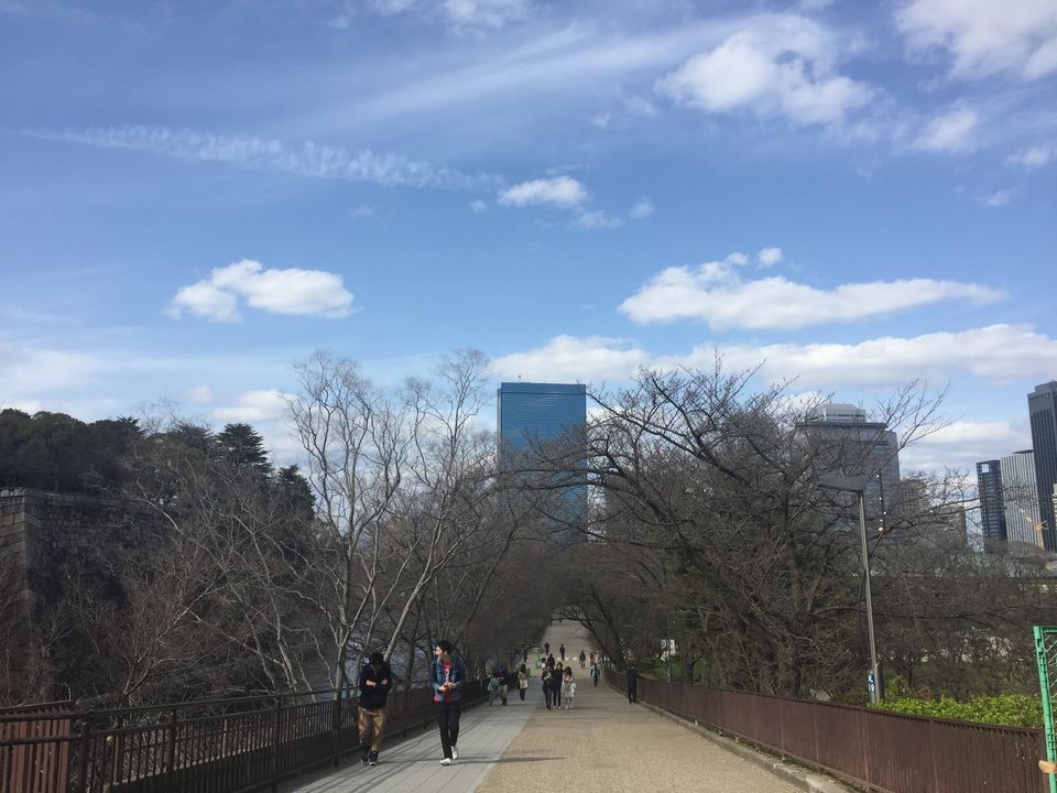Photo of Japan Part 2 - Day trip from Kyoto by Mariya Nalawala